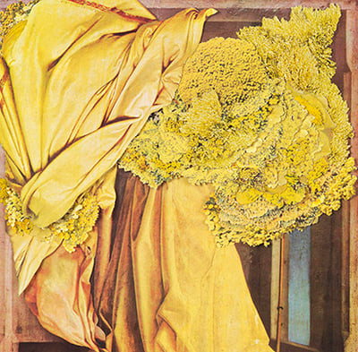 Rosana_Schoijett_C_#141-DETALLE-410x403px