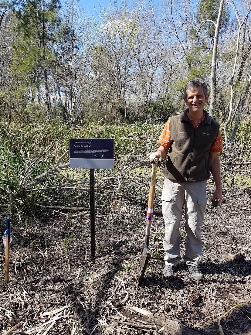 Plantando árboles en la Reserva