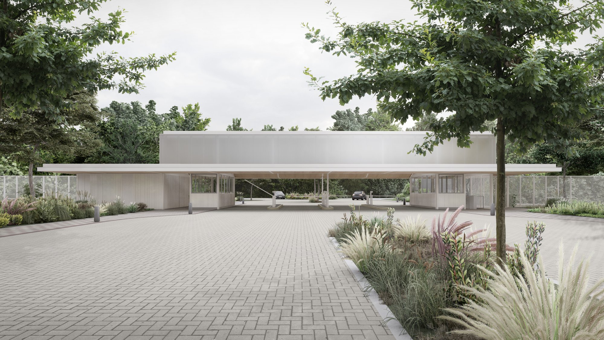 nativas-render-acceso1