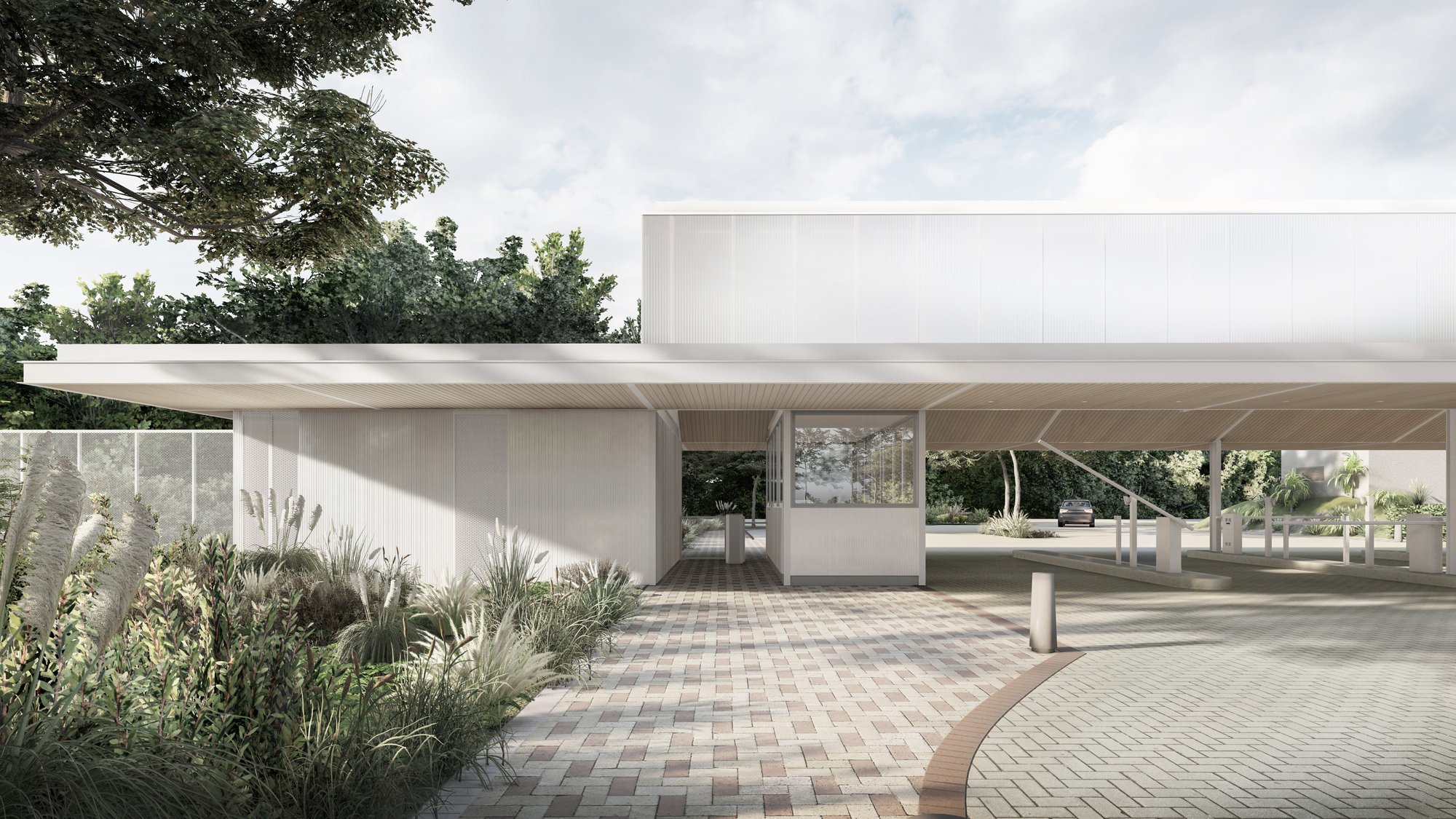 nativas-render-acceso2