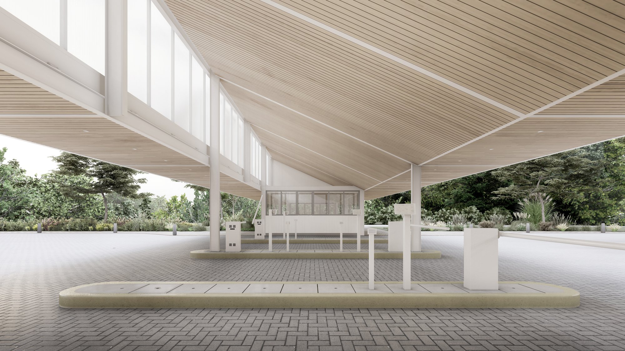 nativas-render-acceso3