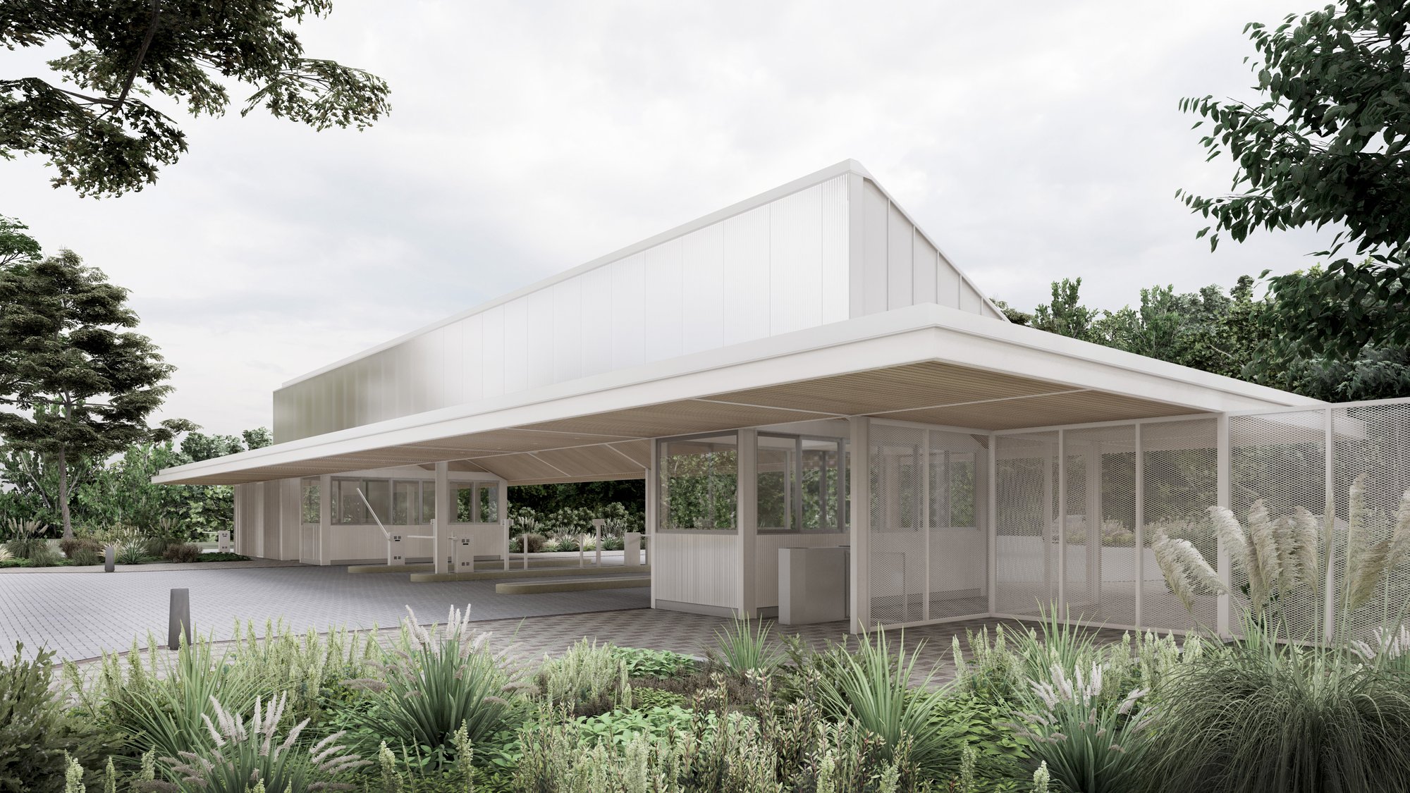 nativas-render-acceso4