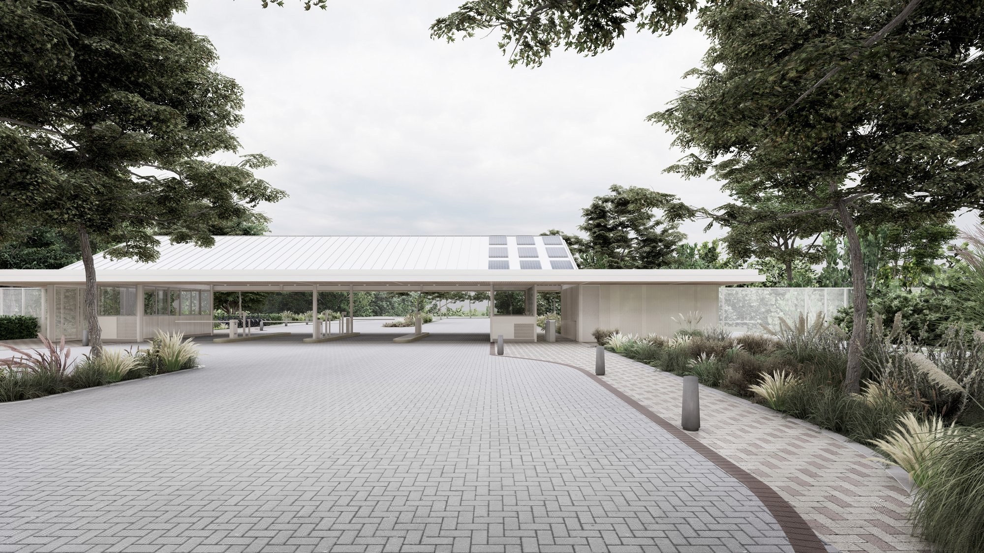 nativas-render-acceso5