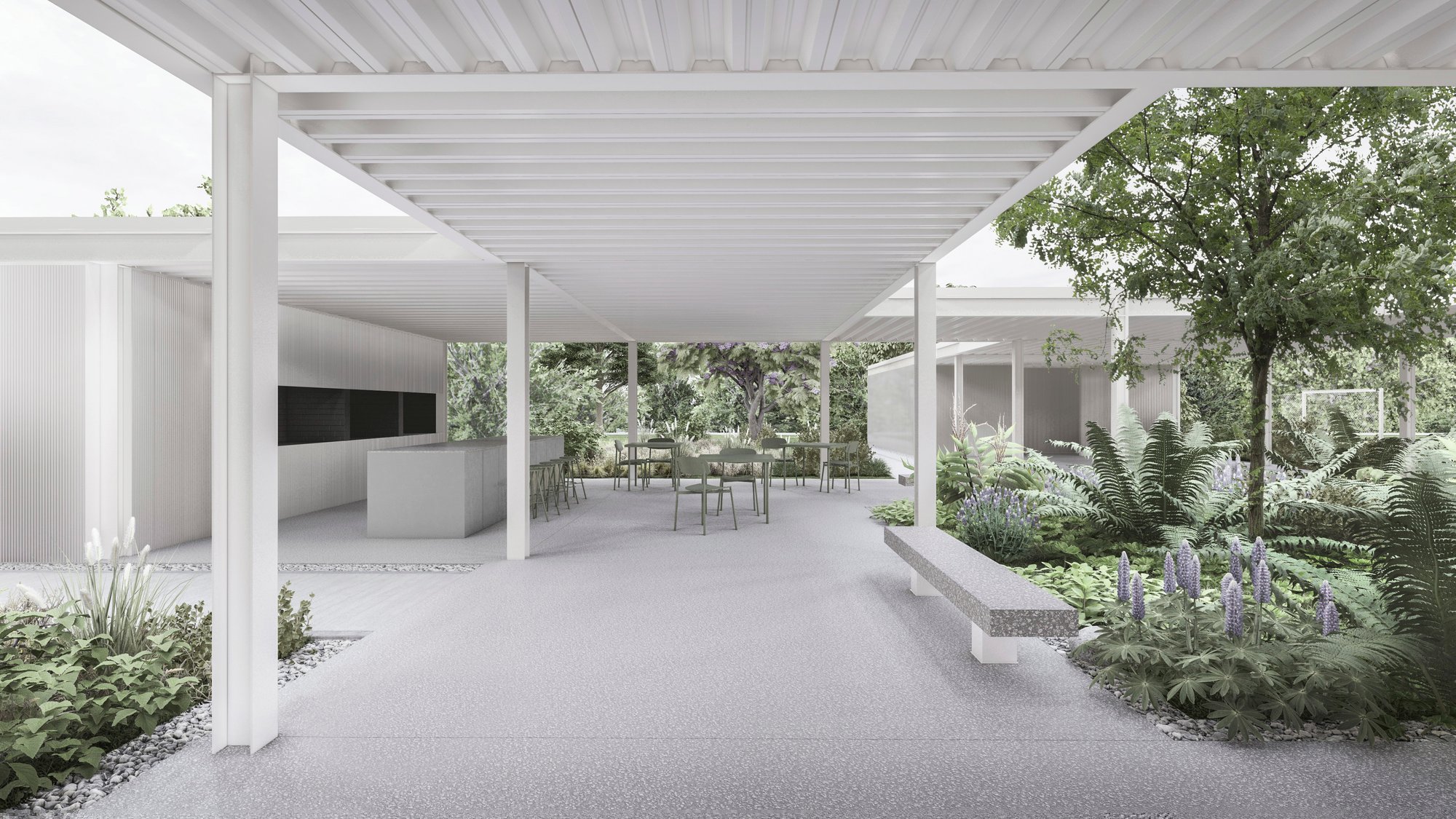 nativas-render-club4