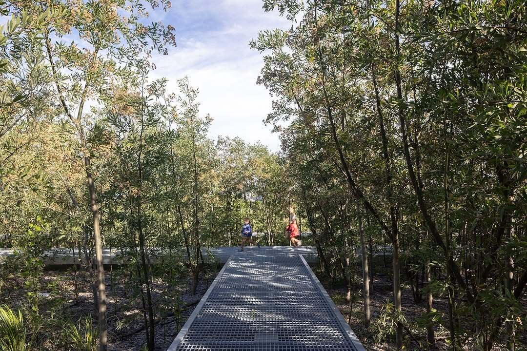 bosque-malba2