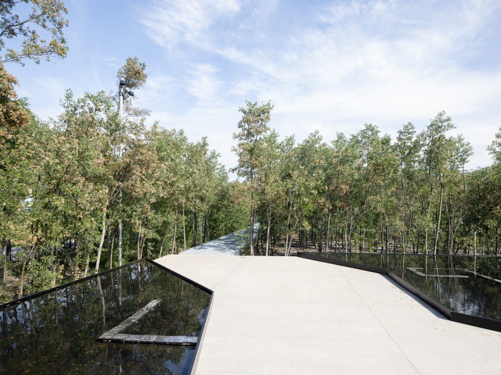 bosque-malba3