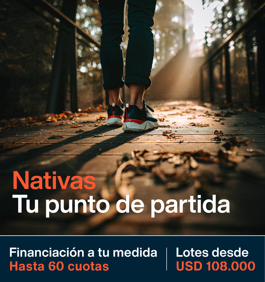 apertura-nativas-mkt-final-ok